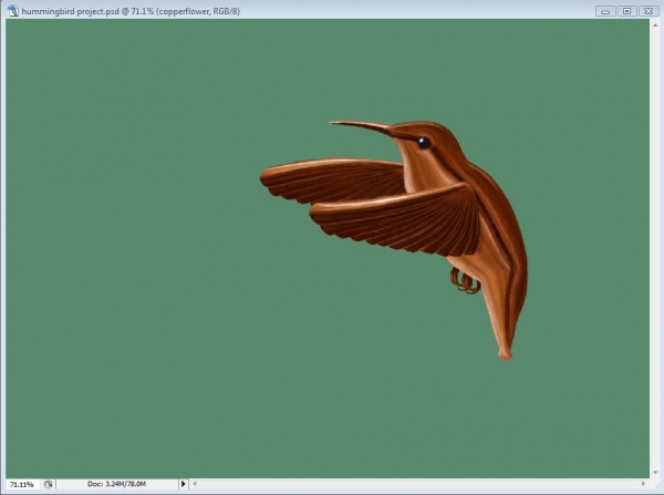 Creation of Hummingbird: Step 7